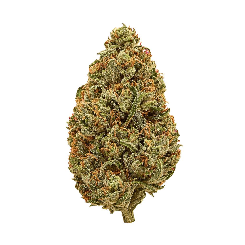 Kade's Kush