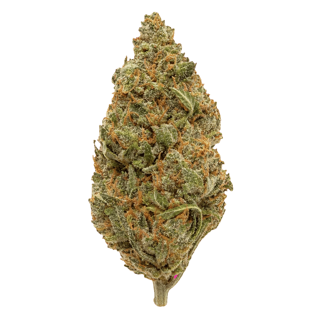 Sour Kush