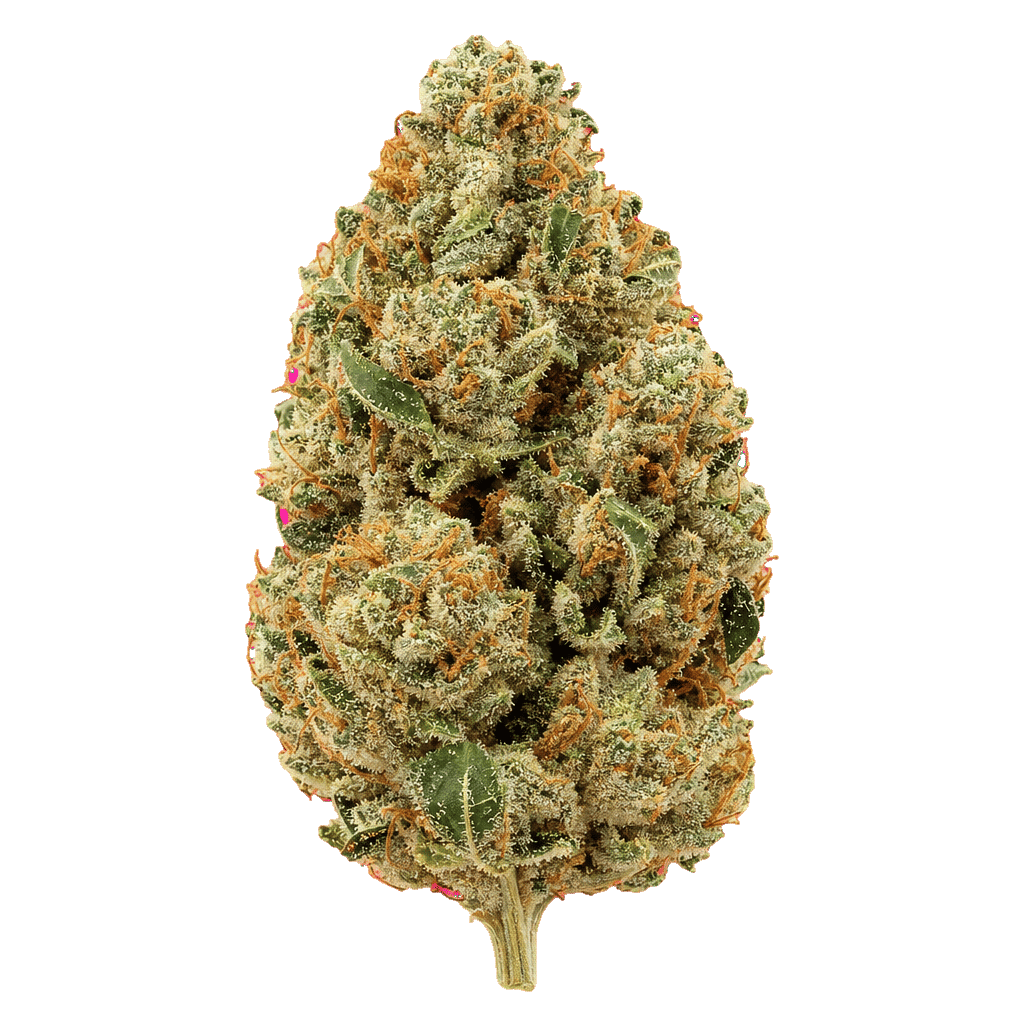 Gorilla Mints