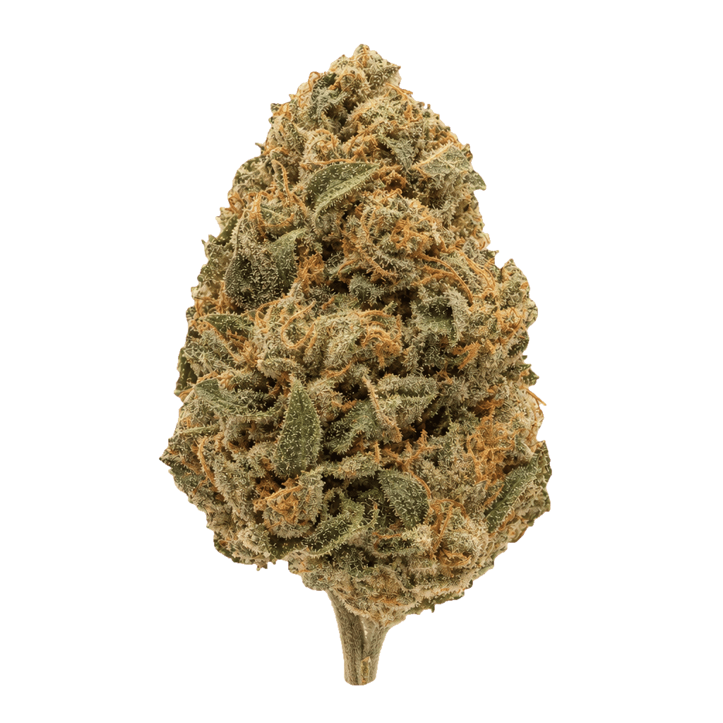 Black Krush