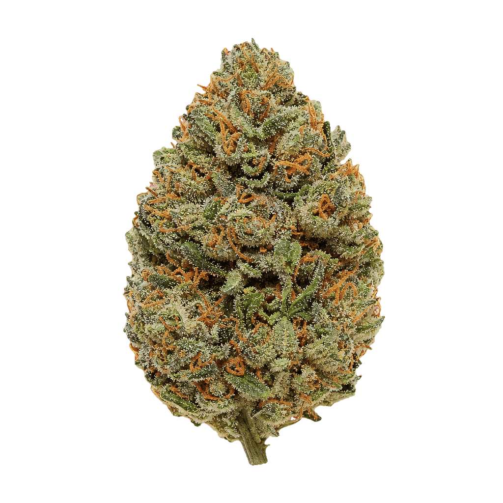 Alien Dawg
