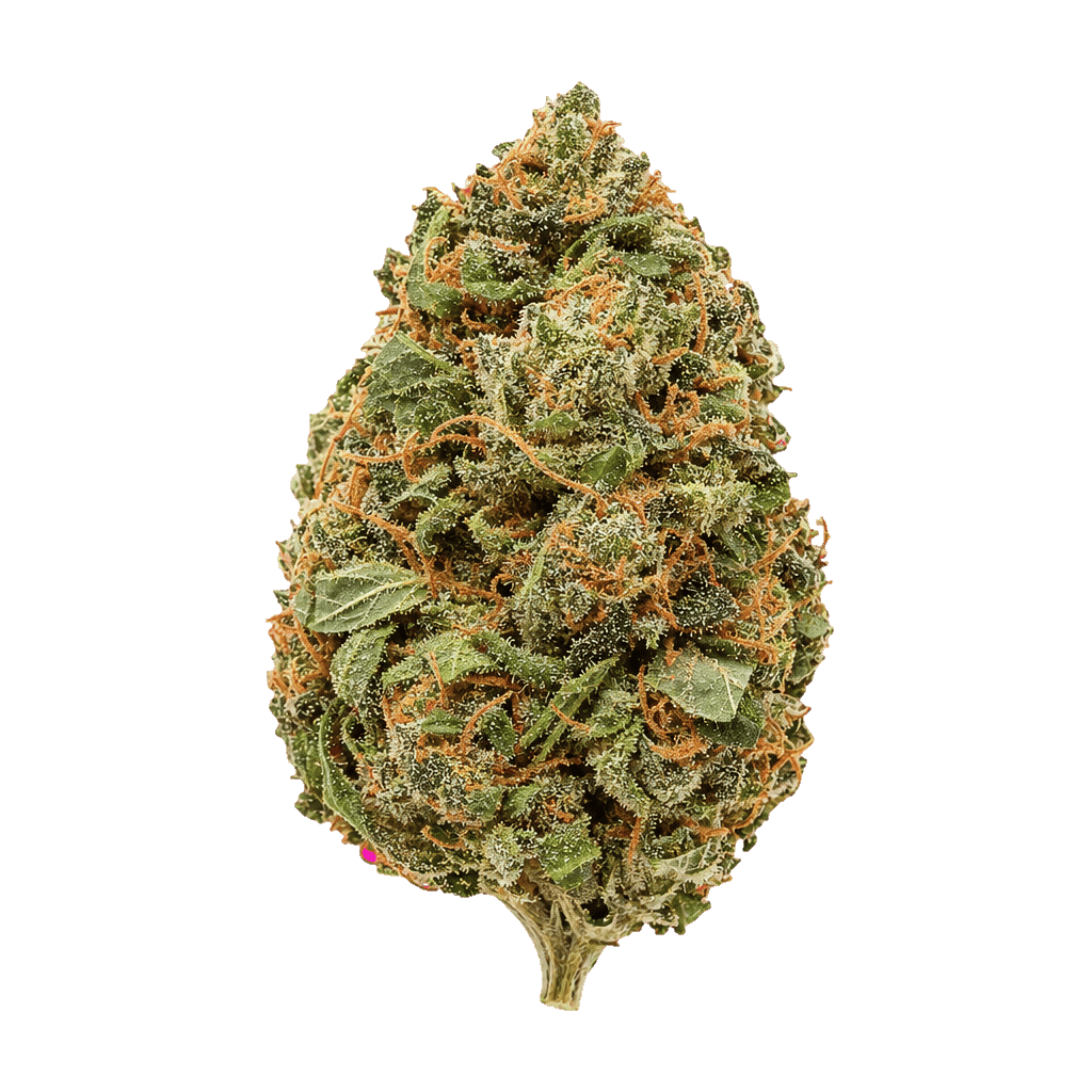 Super Haze x Amnesia