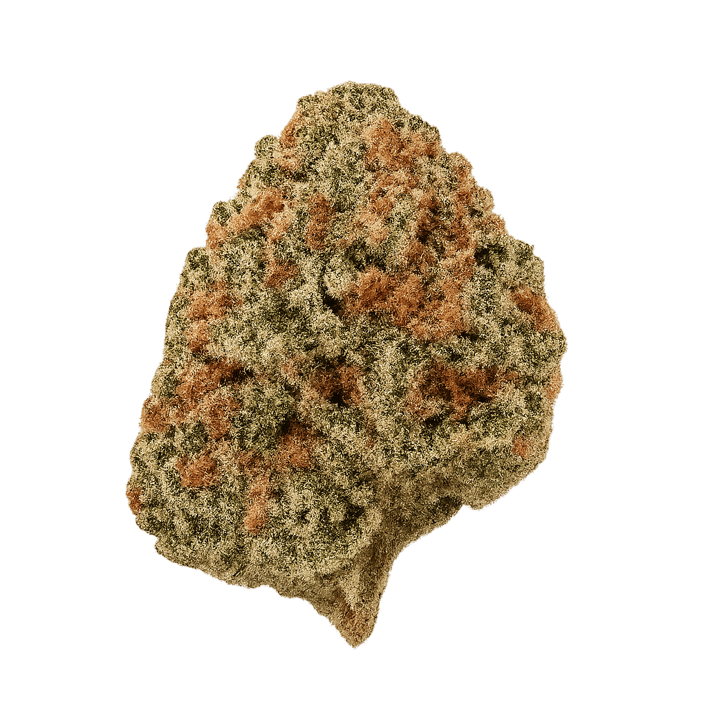 Warlock CBD