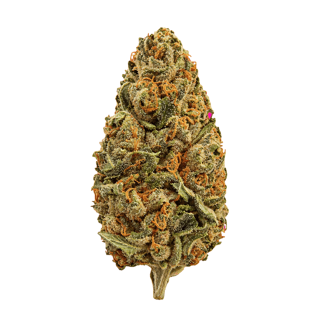 Bubblegum Biscotti x Grape Gasoline