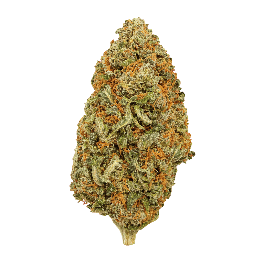 THC Bomb