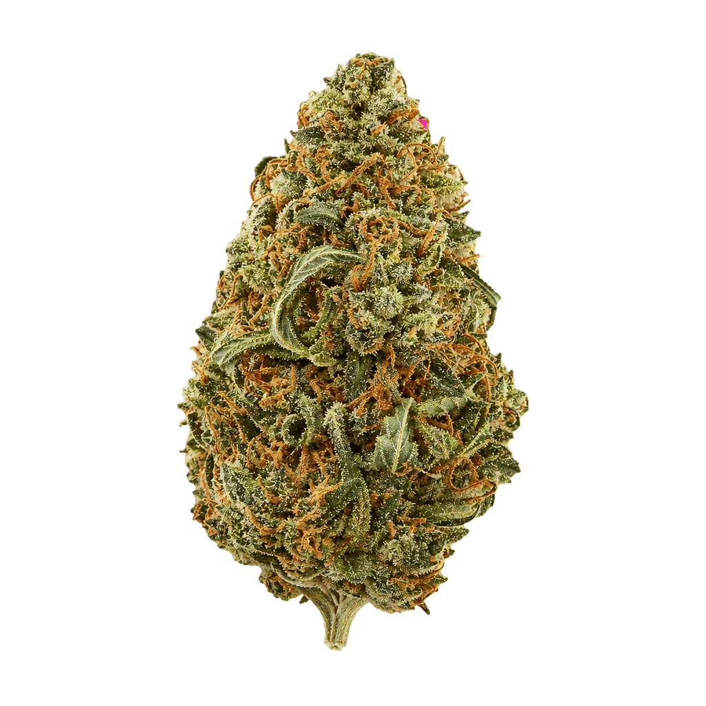 Red Dragon OG