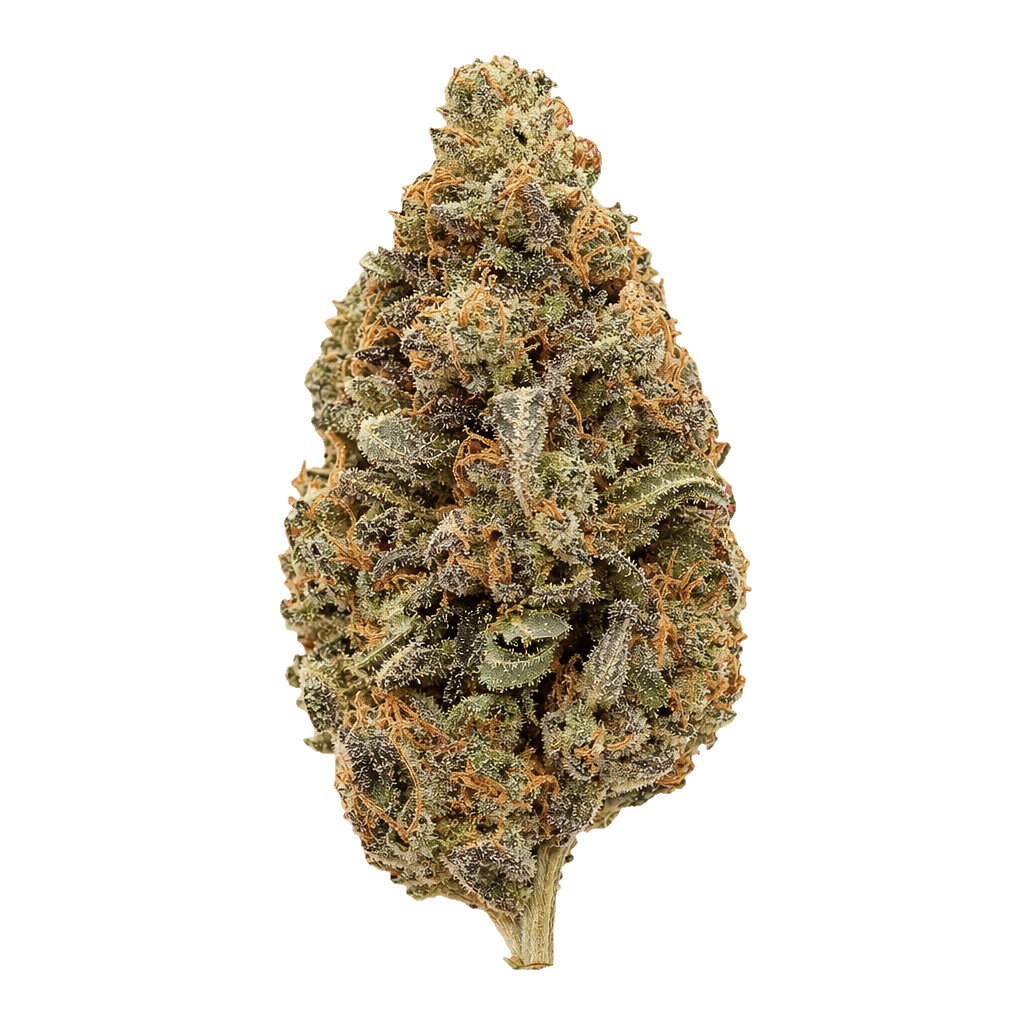 Kush Kush