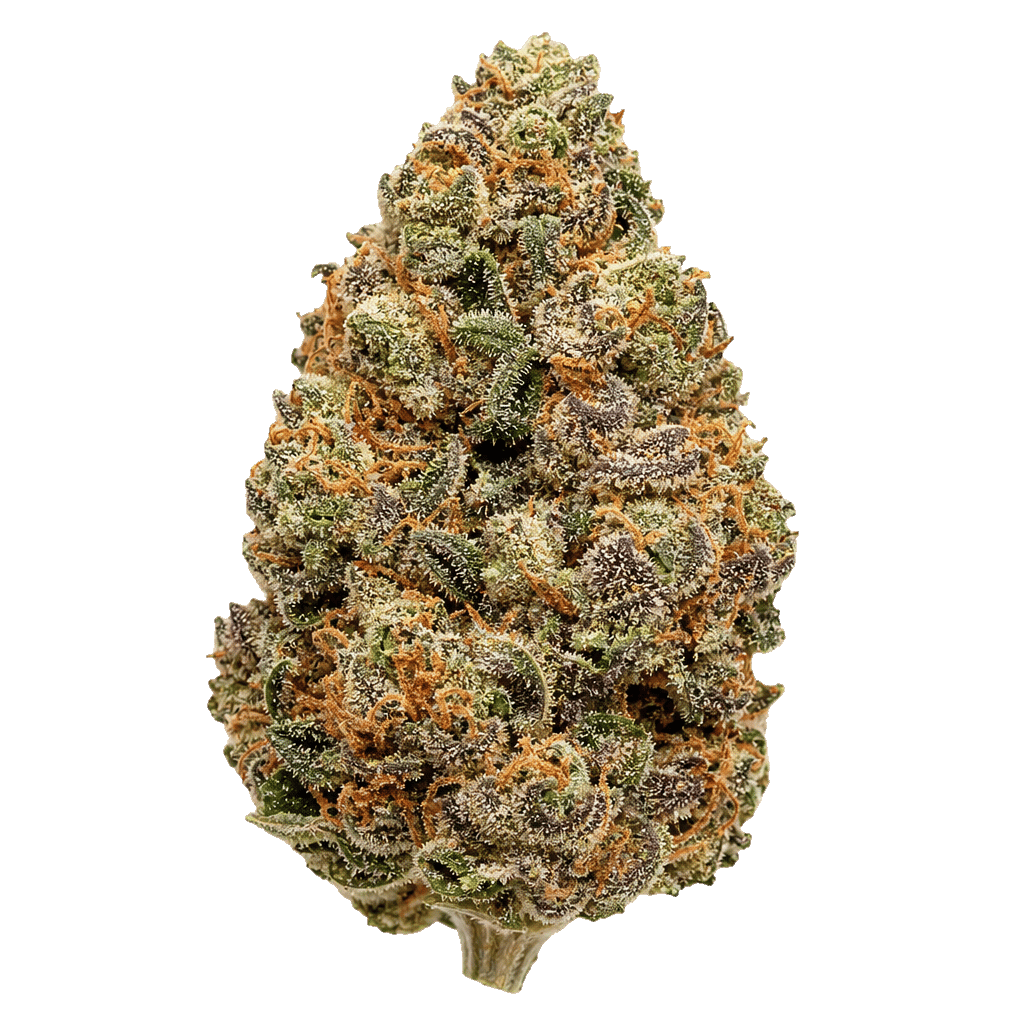 Dave's Kush