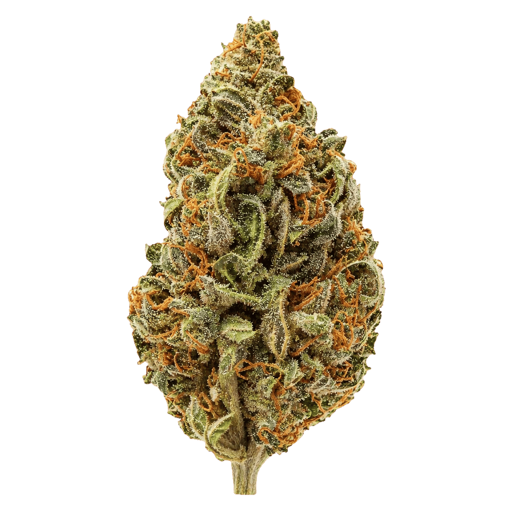 Cannabixir medium