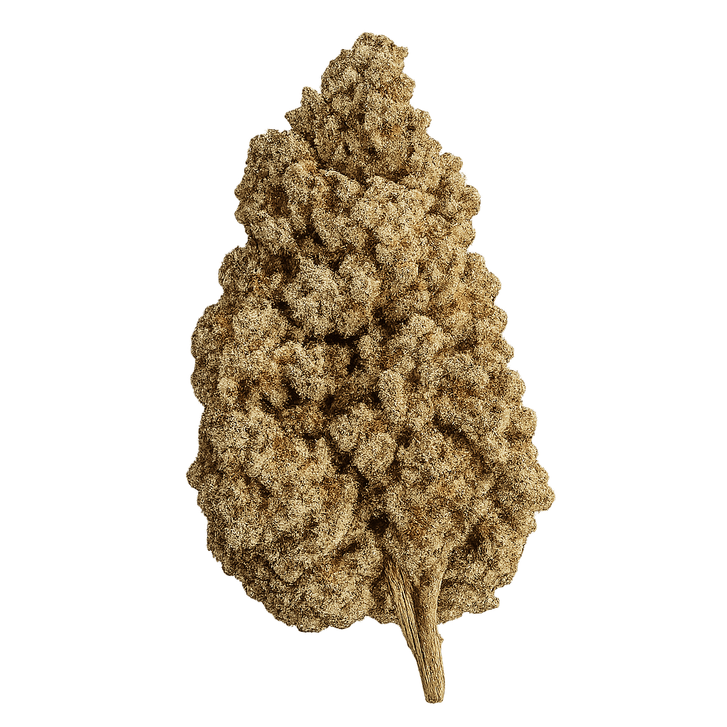 Banana Cream