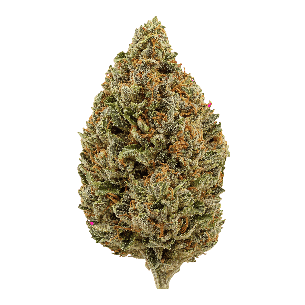 Dark Star