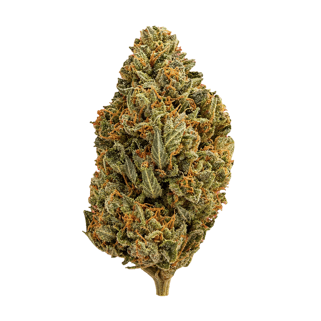 Vanilla Cake