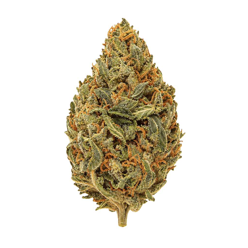 Grape Stomper
