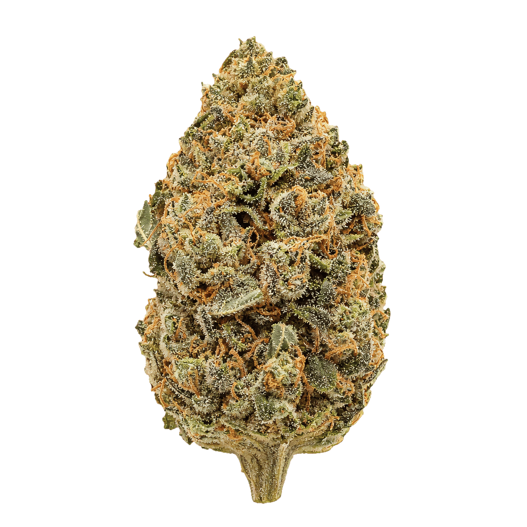 Amnesia Kush