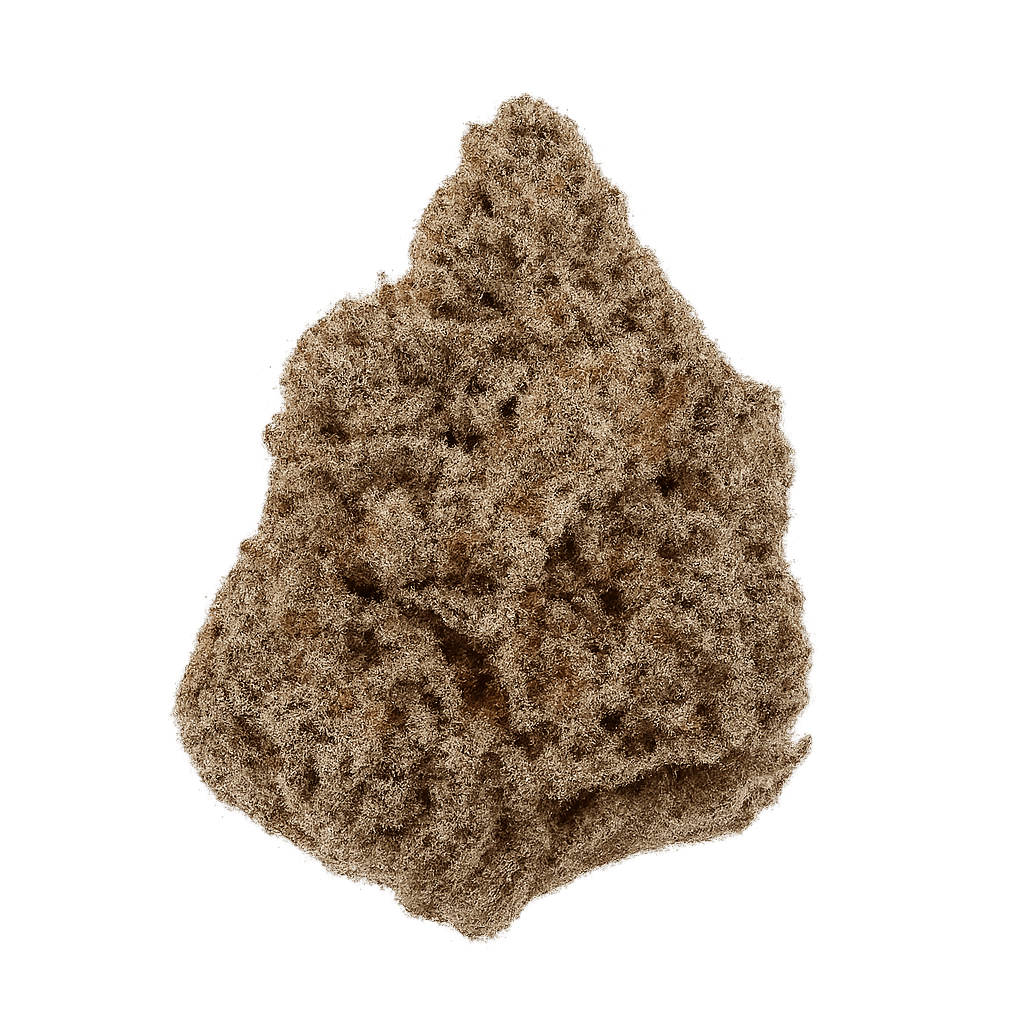 Amnesia Lemon