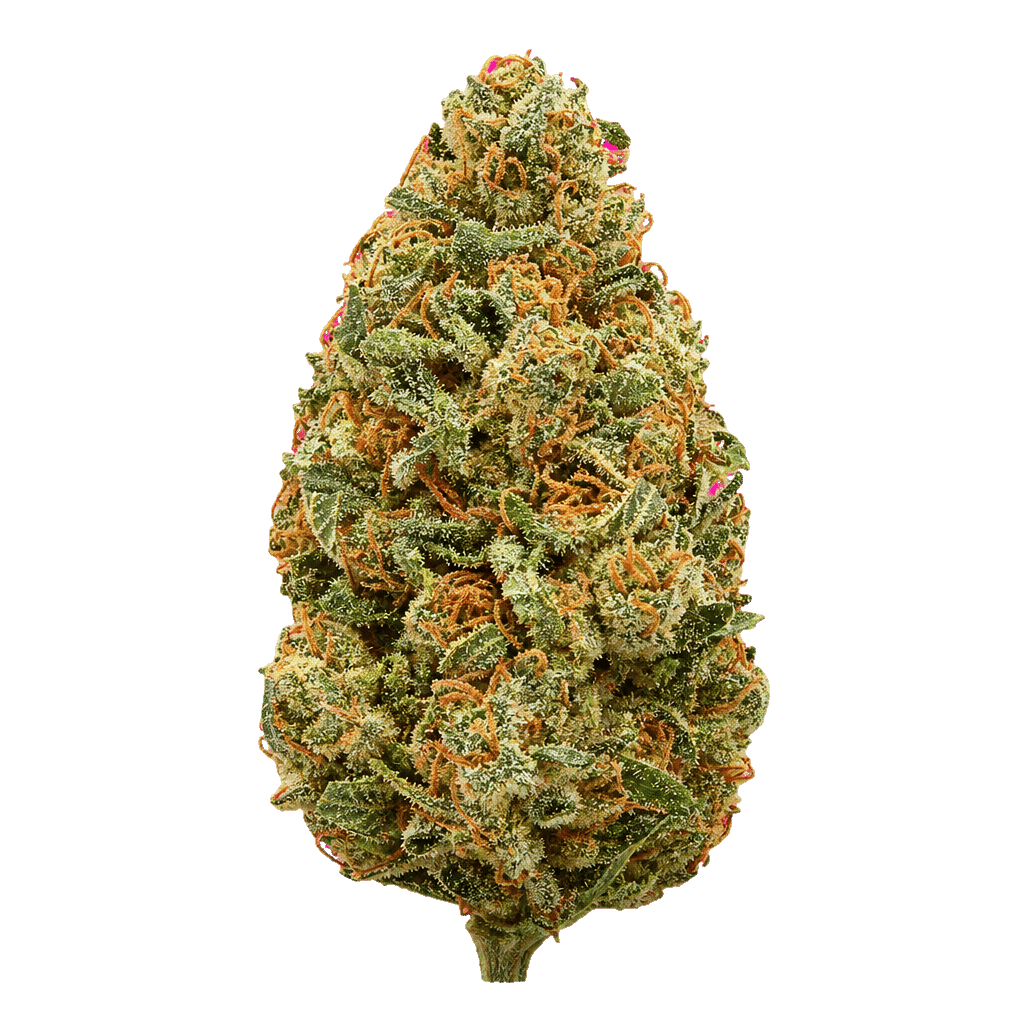 Dawg Bud Fusion