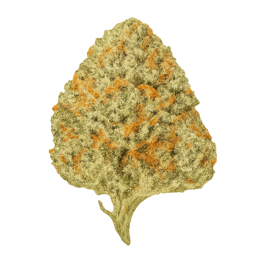 Chemango Kush
