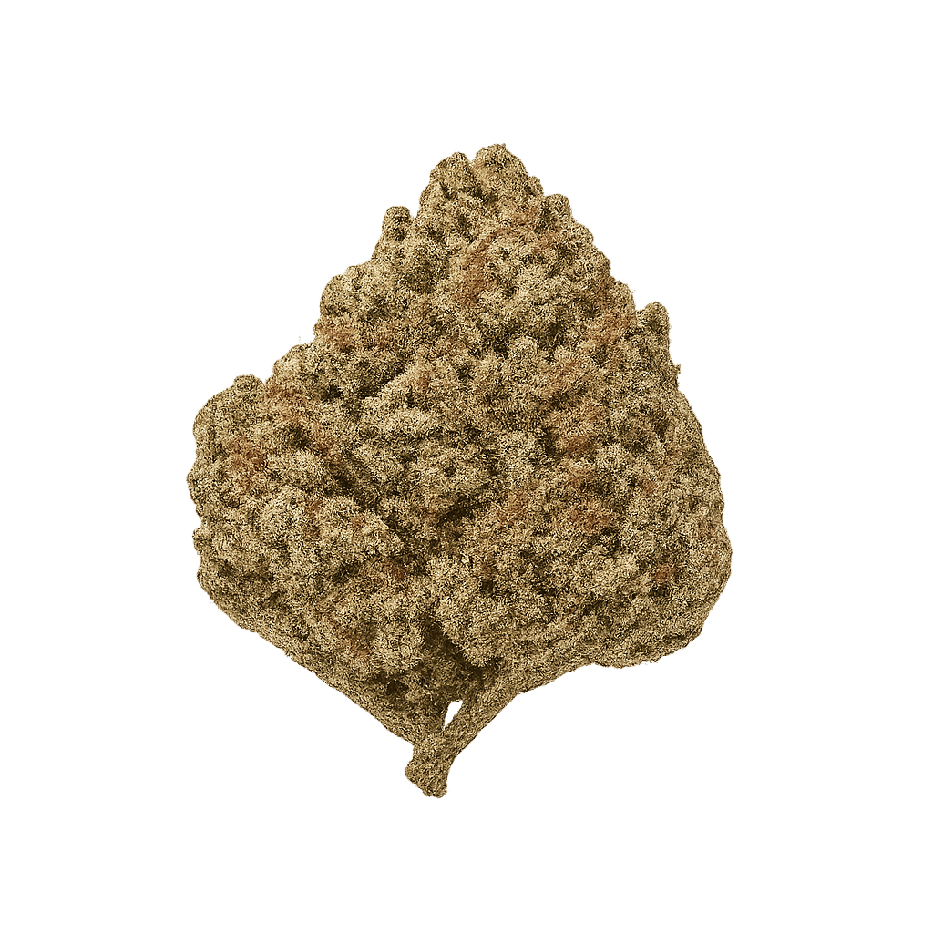 Tangerine Punch