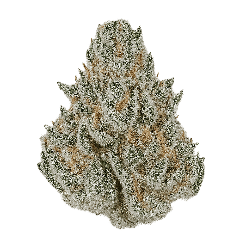 Mountain Kush