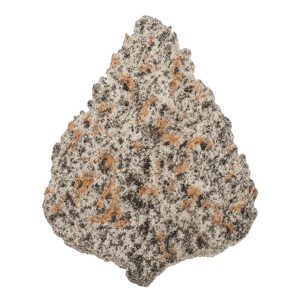 White Truffle