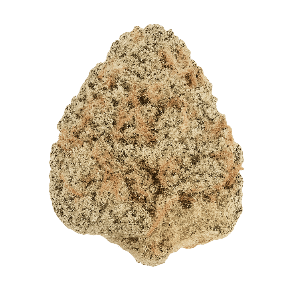 Tropic Boom