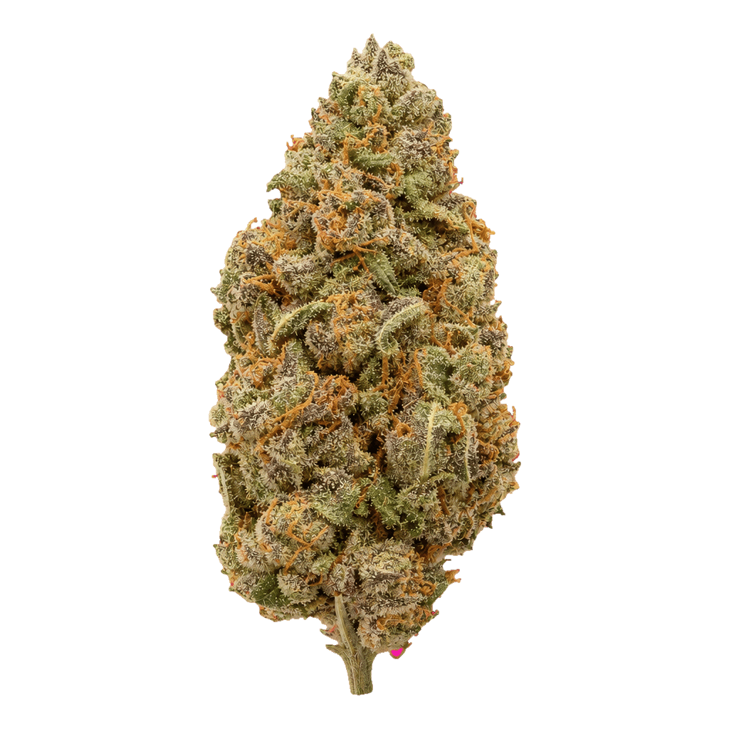 Super Lemon G