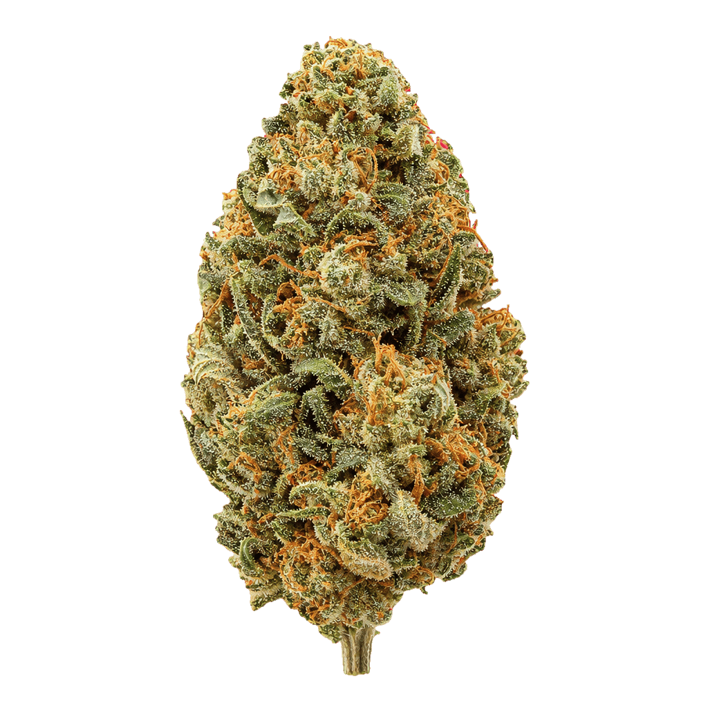 Berry Blitz