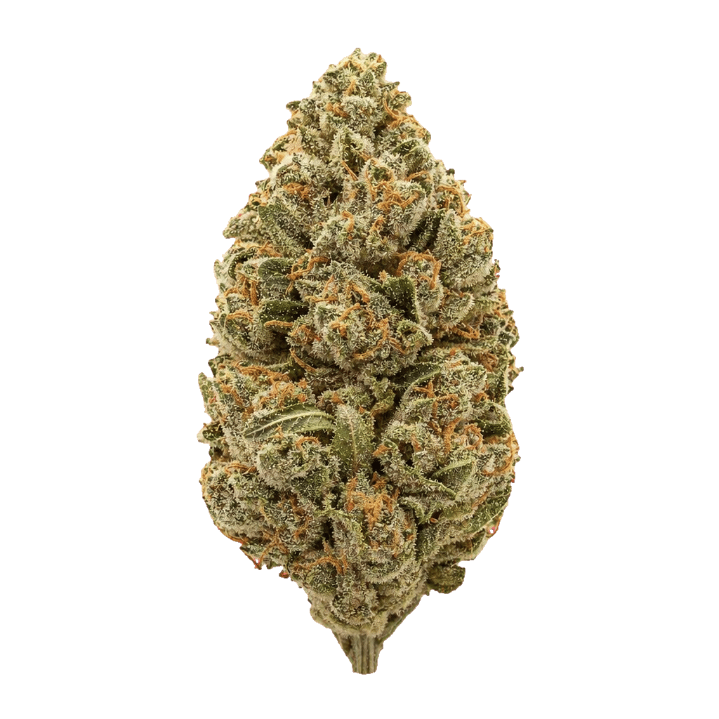 Cinderella Haze