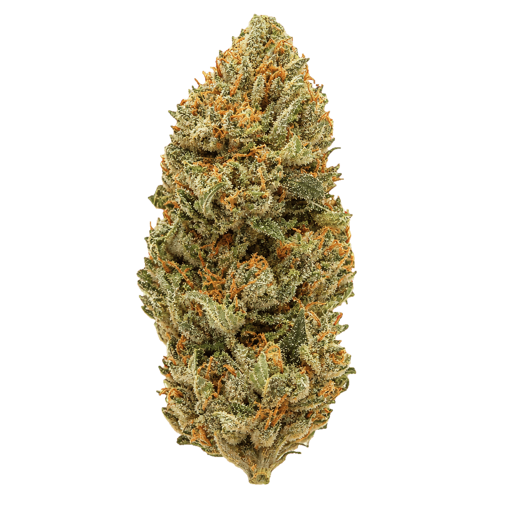Forbidden Zkittlez