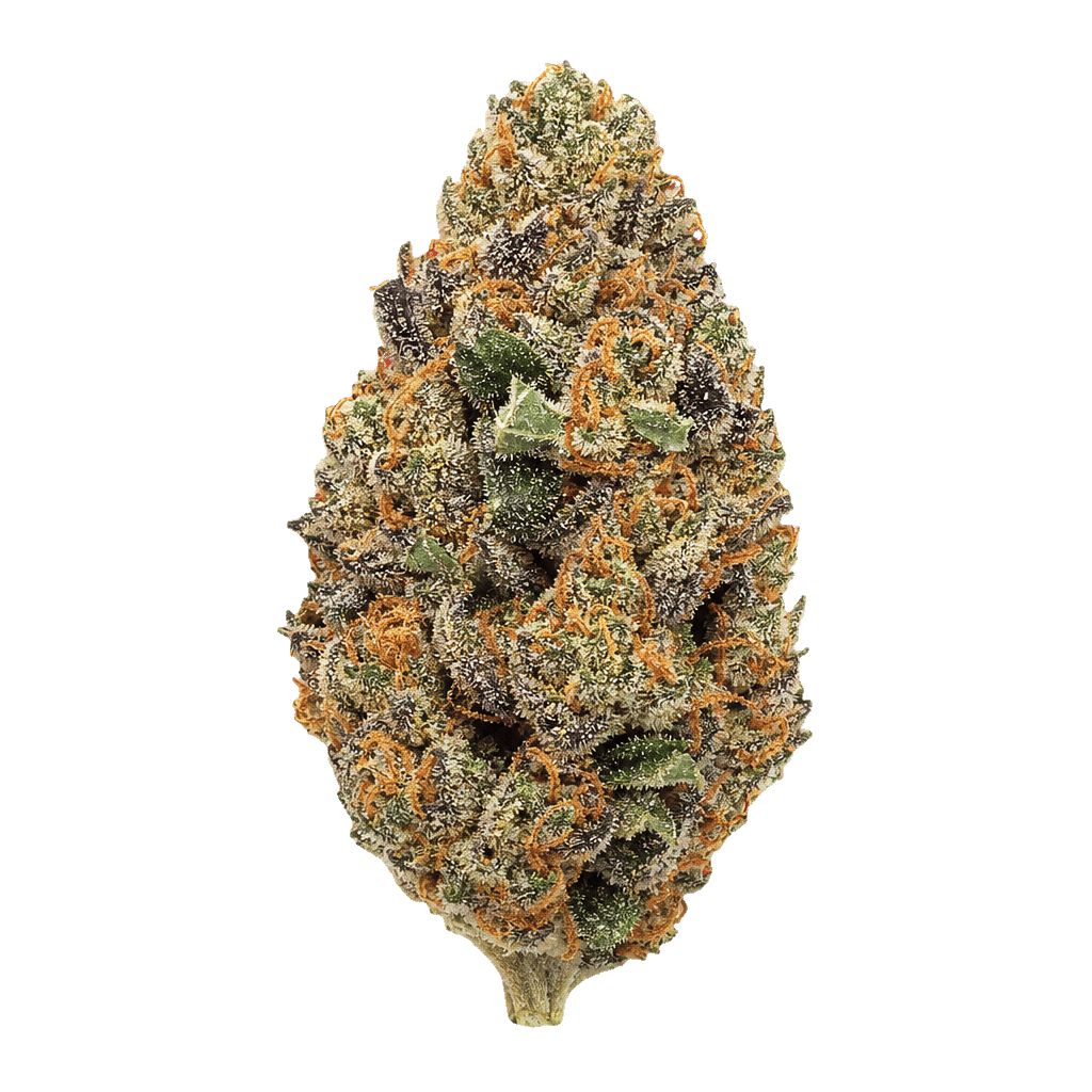 Gorilla Berry
