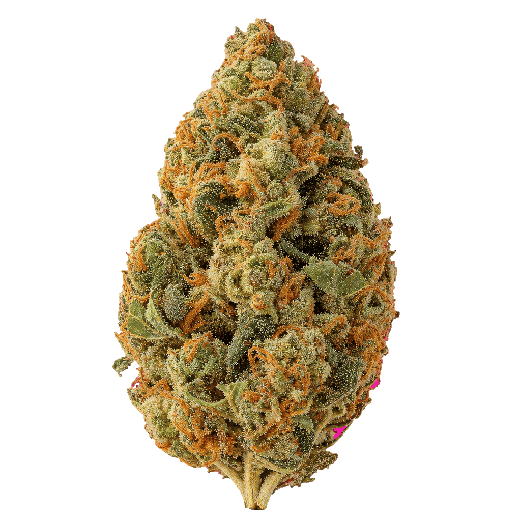 Carnez Citric