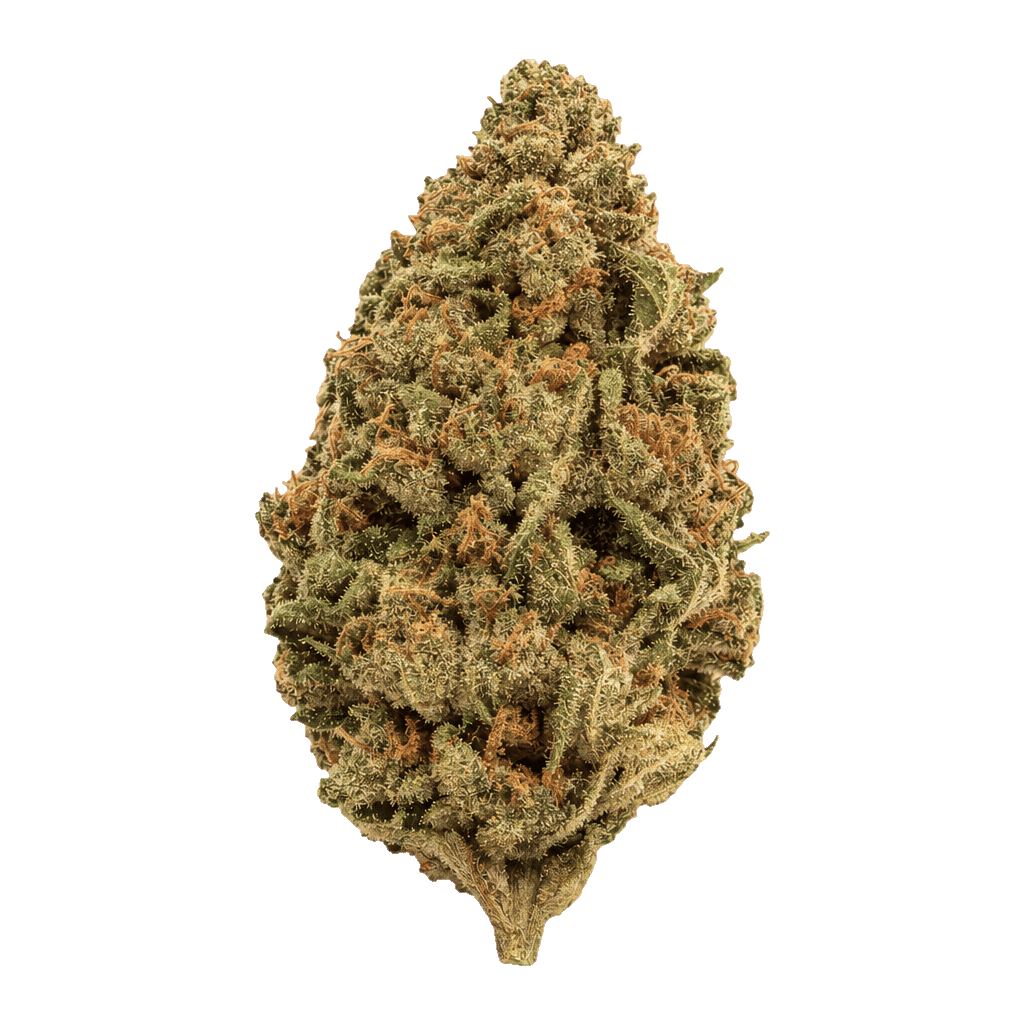 Scoop of Chem x Early Orange