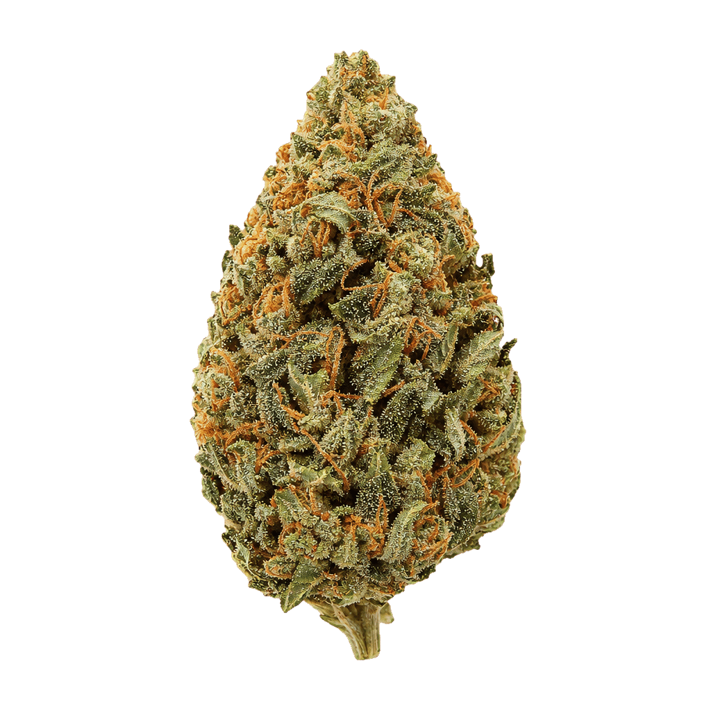 Sherbert Glue