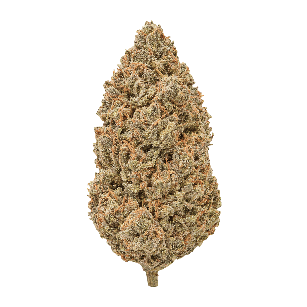 Glaced Apricot Gelato