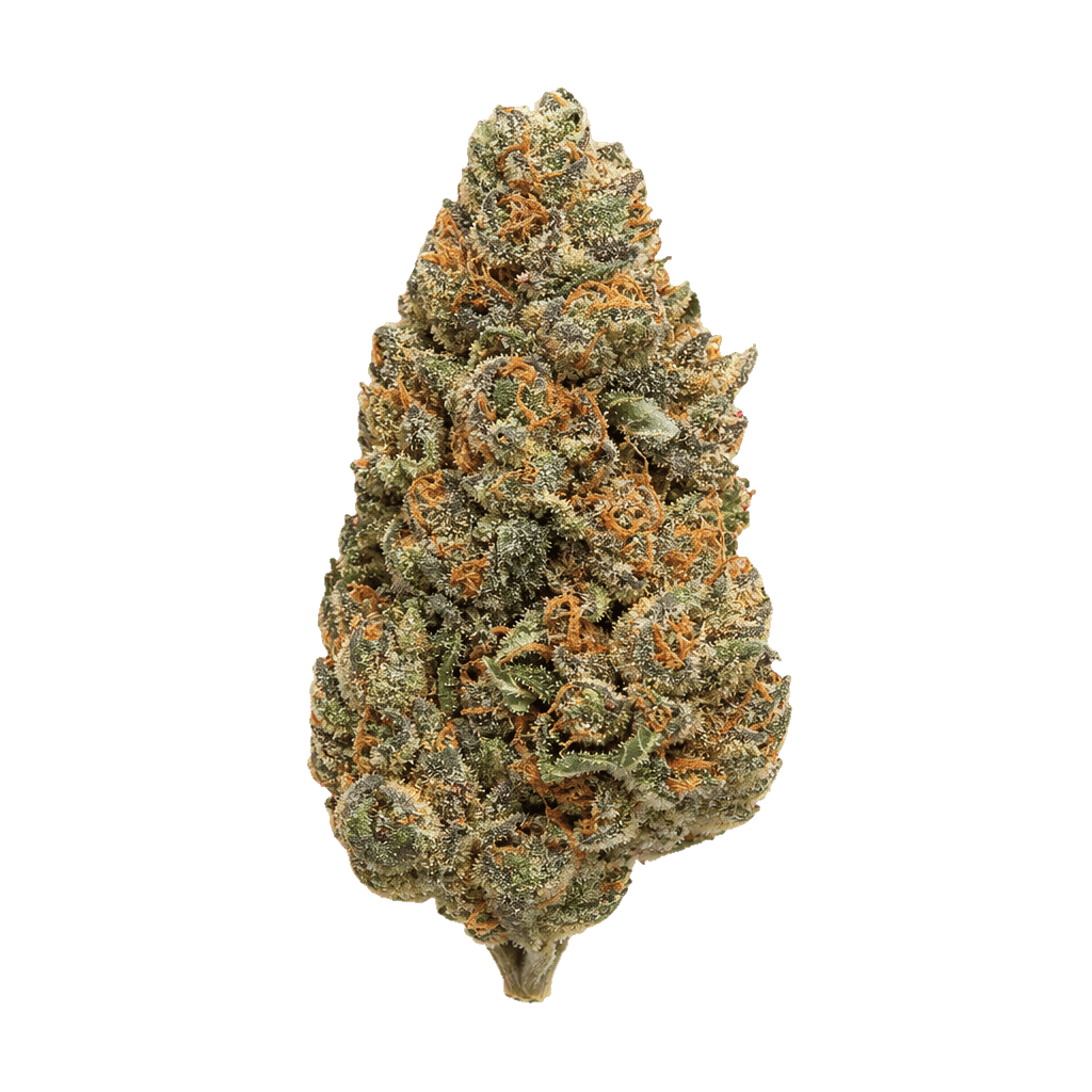 Gelato Sherbert