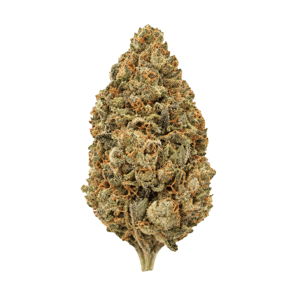 Cactus Breath