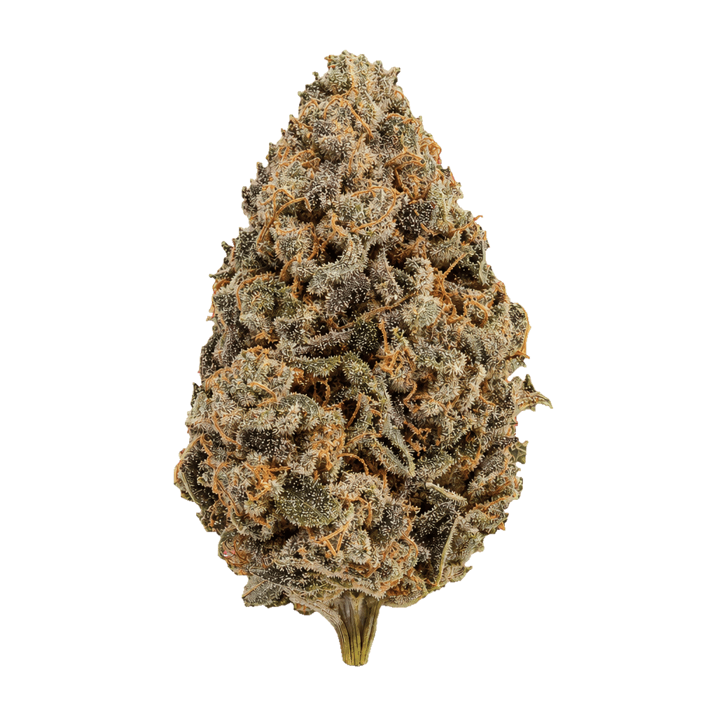 Black Dolato