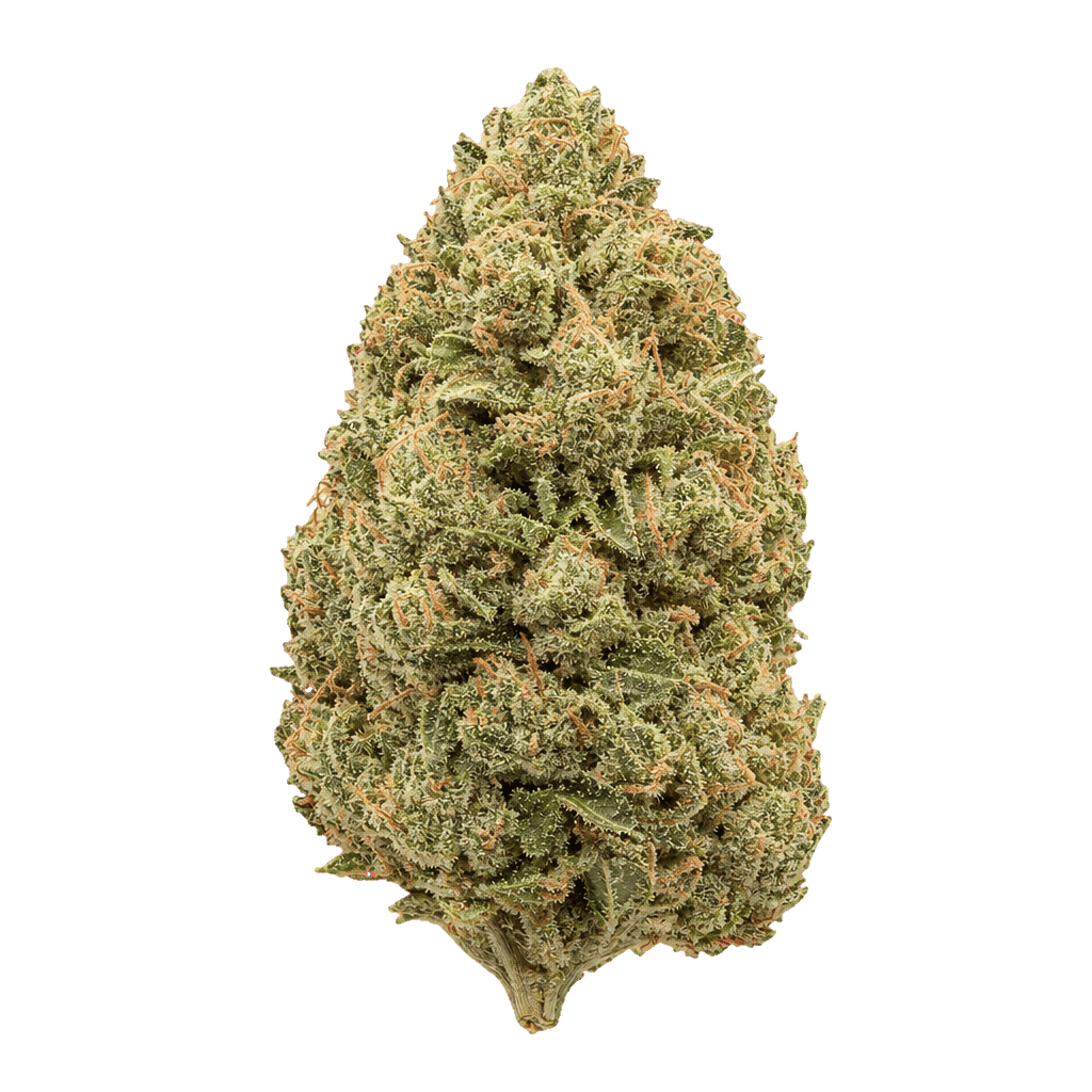 Blueberry Cookies