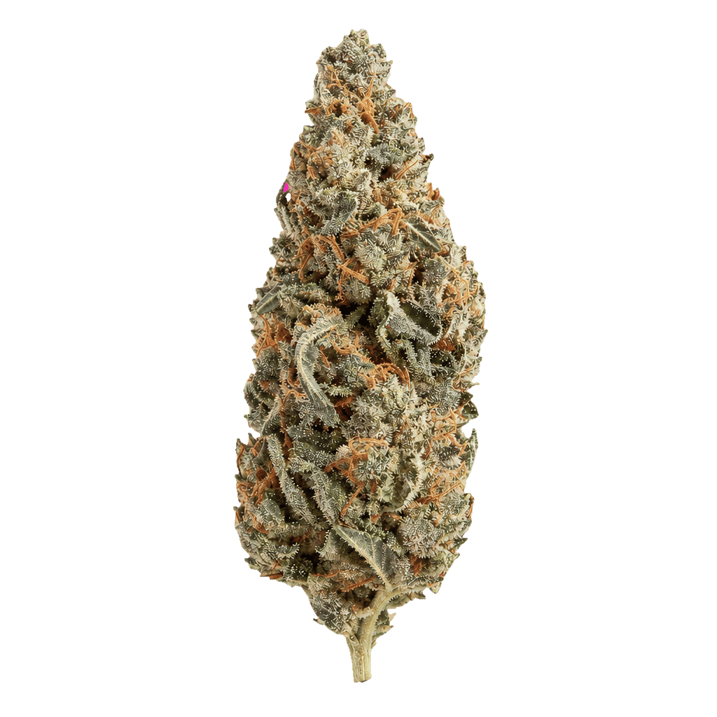 GMO Cookies x Kush Mintz
