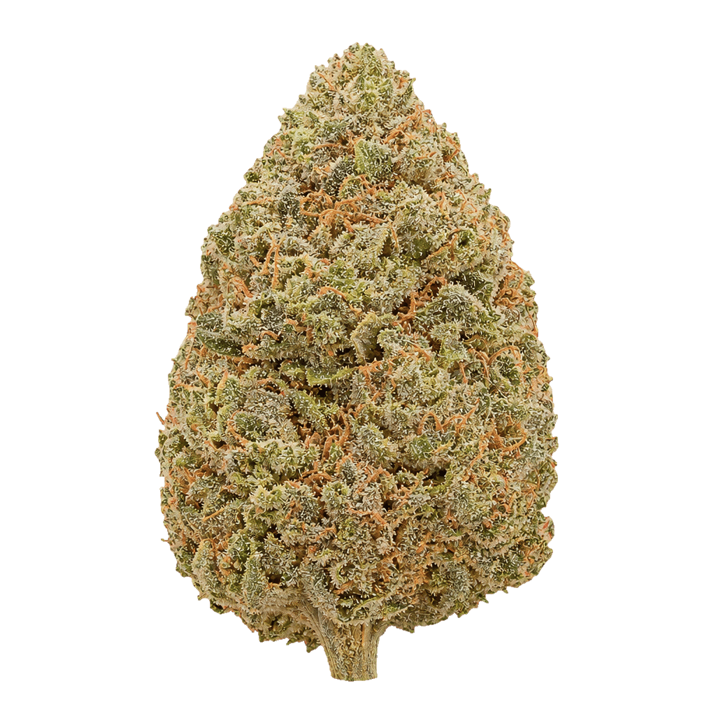 Tangie Pave