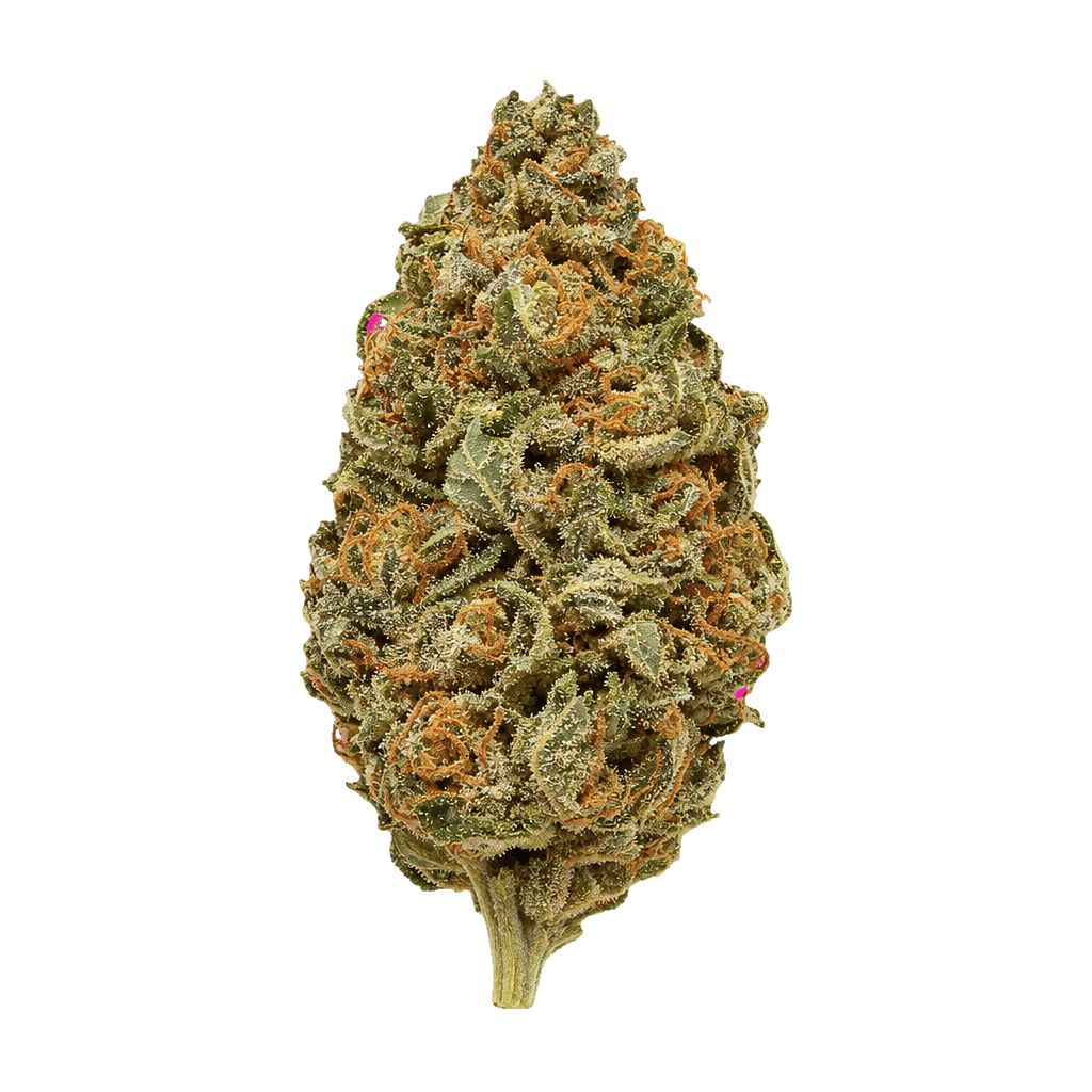 Tangie Chem