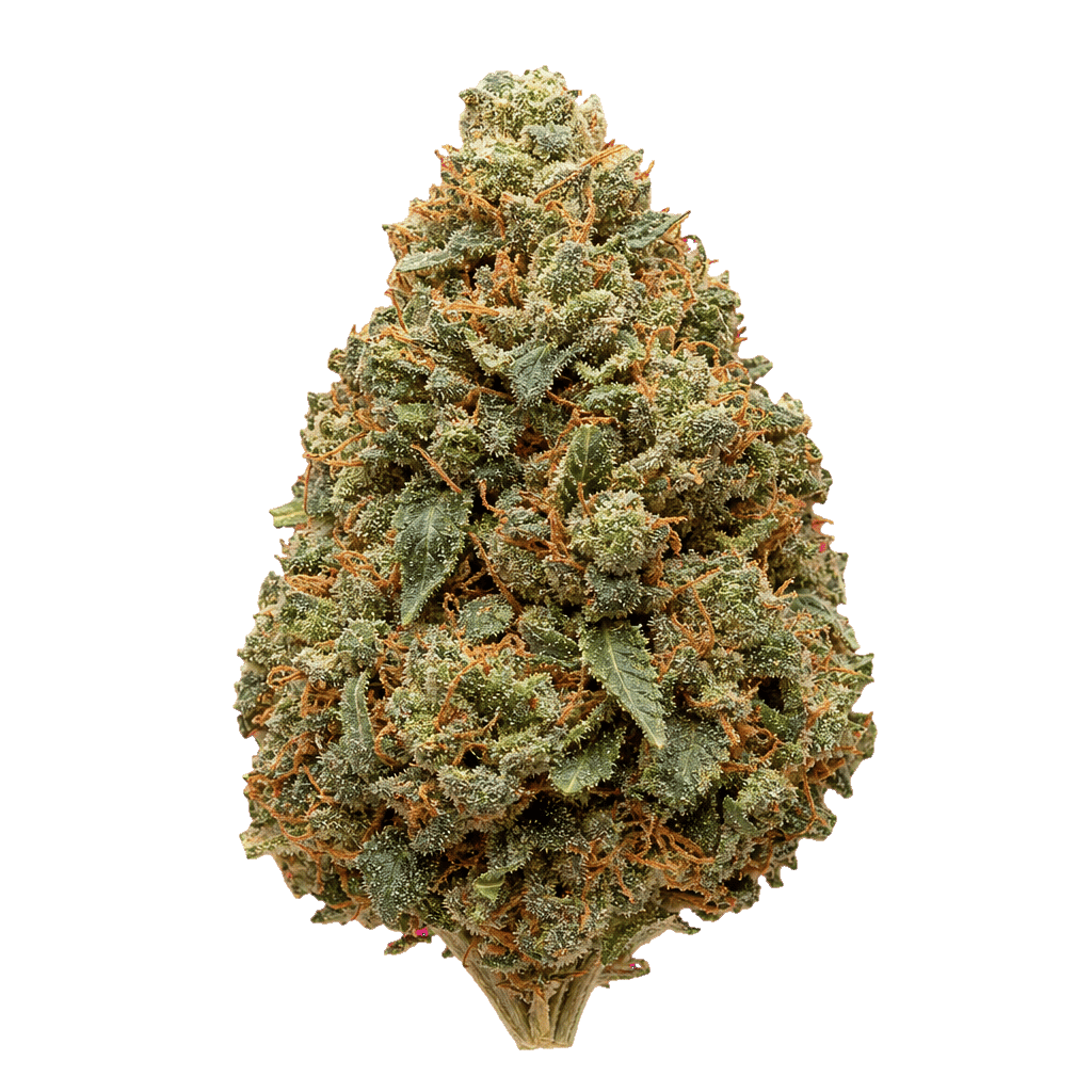 Black Gas