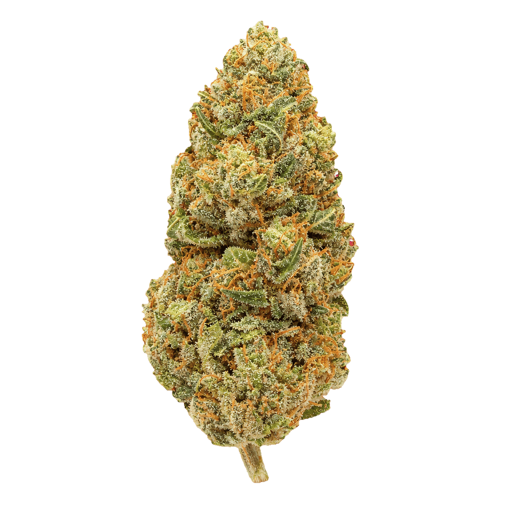 Mimosa Cookies