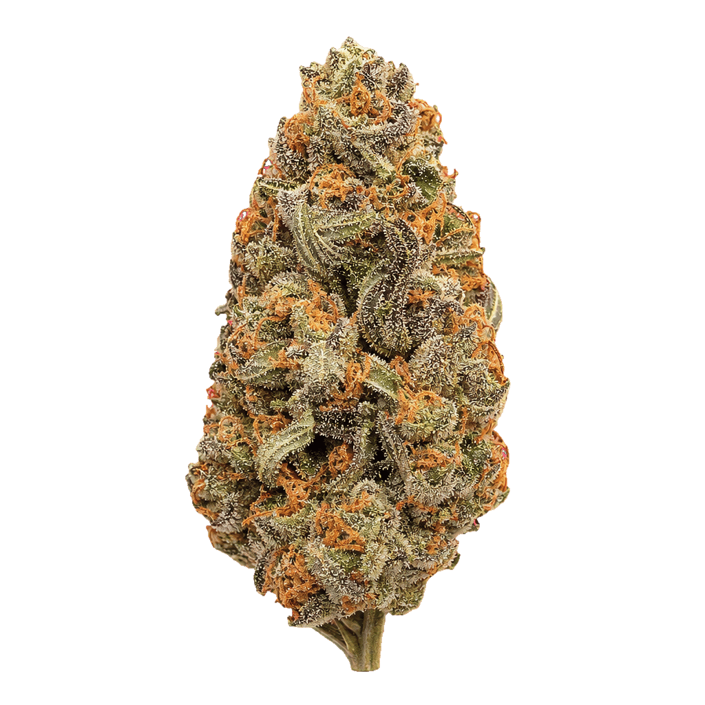 Sunset Diesel