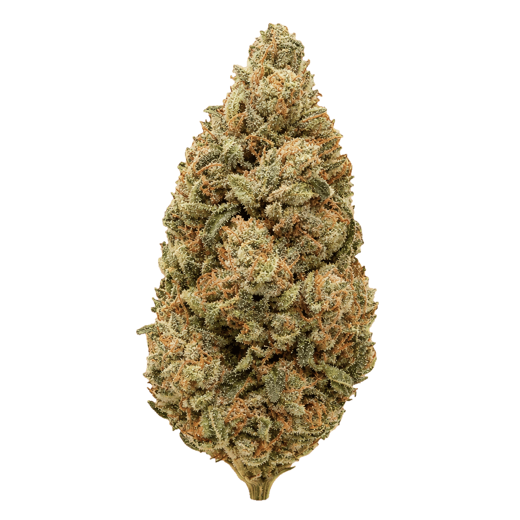 Jet Fuel Apricot