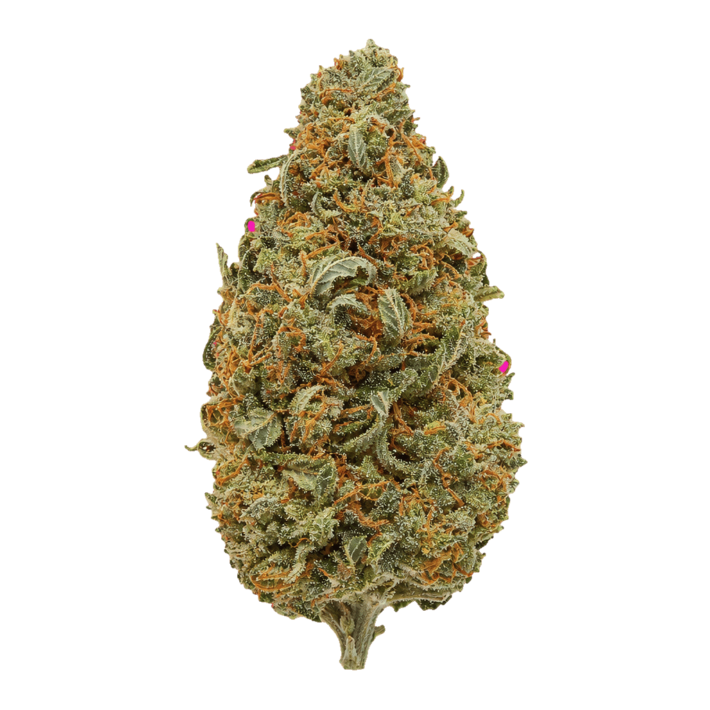 Boss Haze