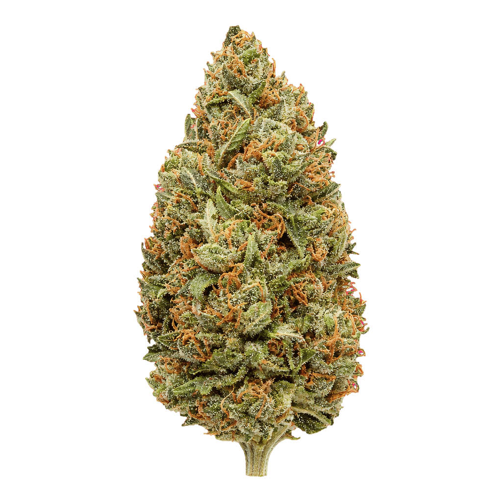 Diamond Mints