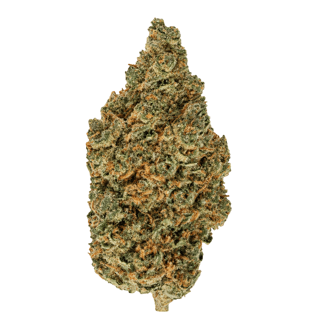 Electric Grapefruit