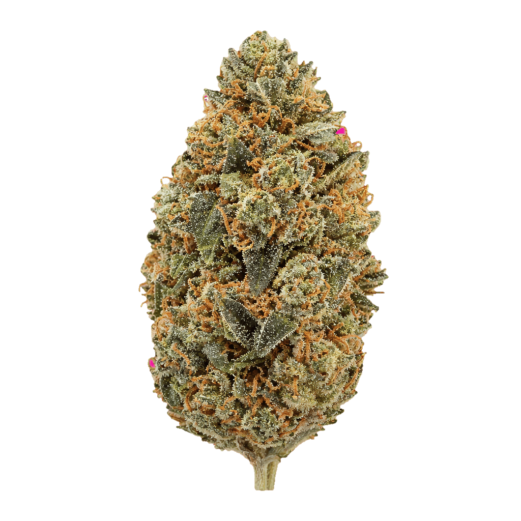 Tangy Diesel Cheese