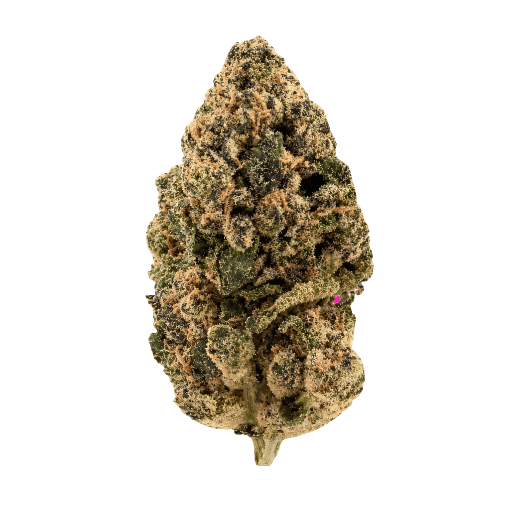 Sunset Sherbet